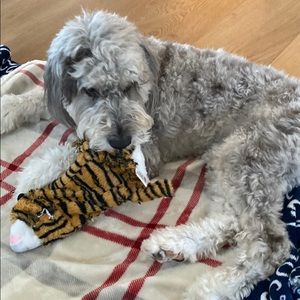 Meet your Posher, Bridget